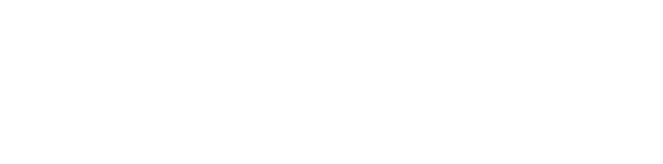 USC Data — Unified. Secured. Connected.